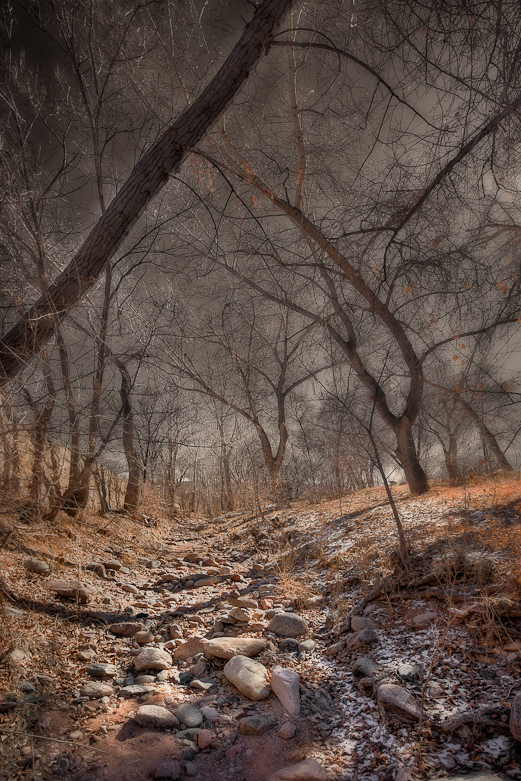 The Santa Fe River in February, Santa Fe, NM