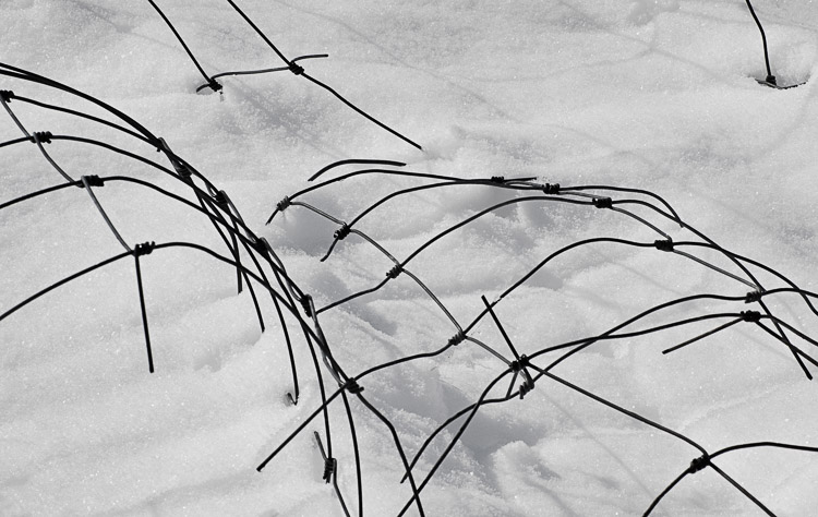 Fence Wire in the Snow